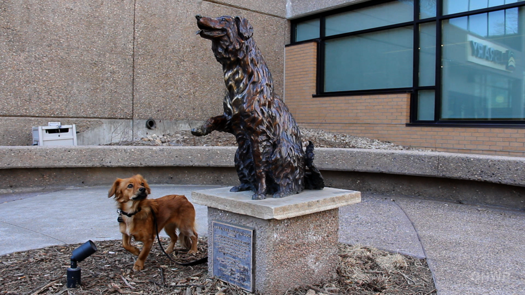 Photos of Roadside Attractions in Fort Collins, Colorado - Luci Westphal