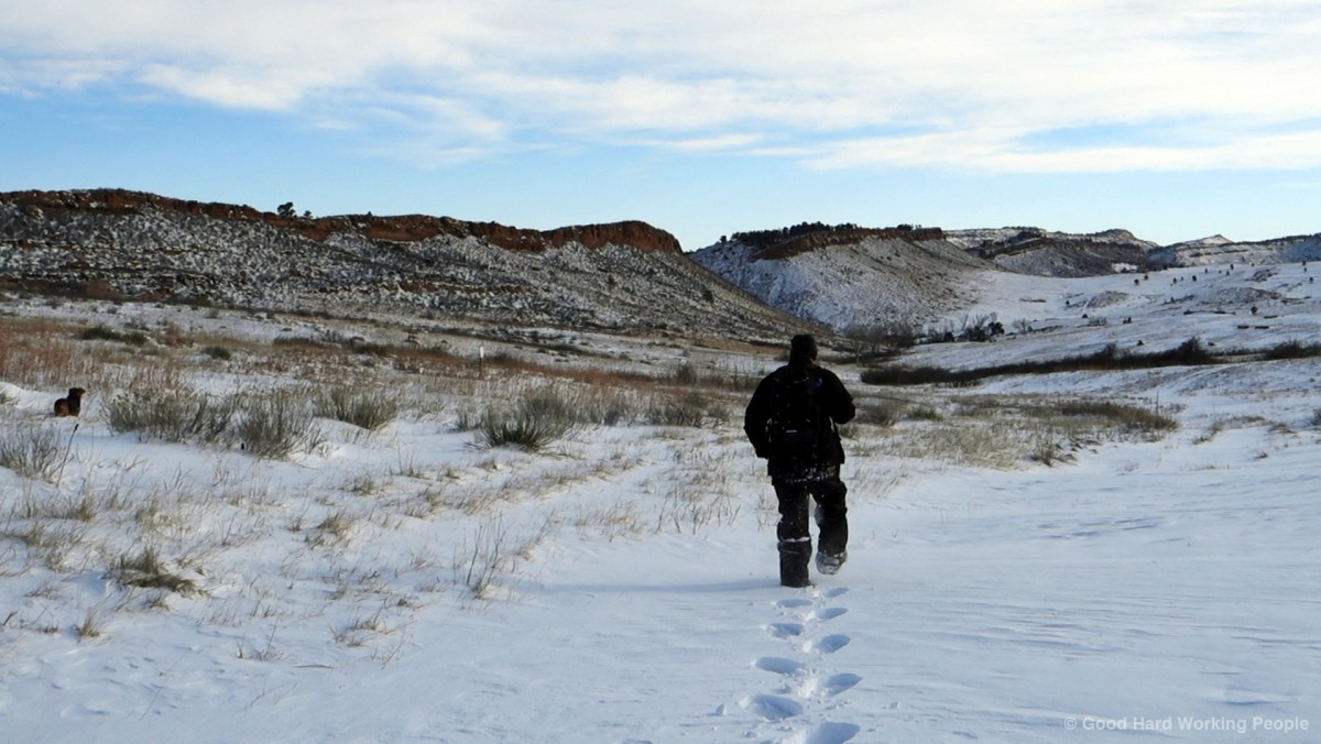Snowshoeing in Lory State Park In A Colorado Minute (Week 294) Luci
