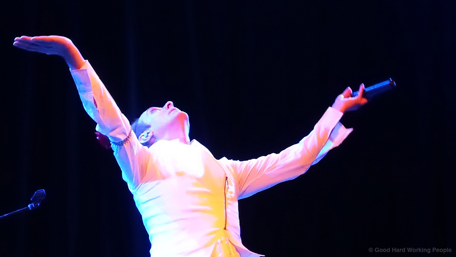 Peter Murphy Gothic Theatre, Denver