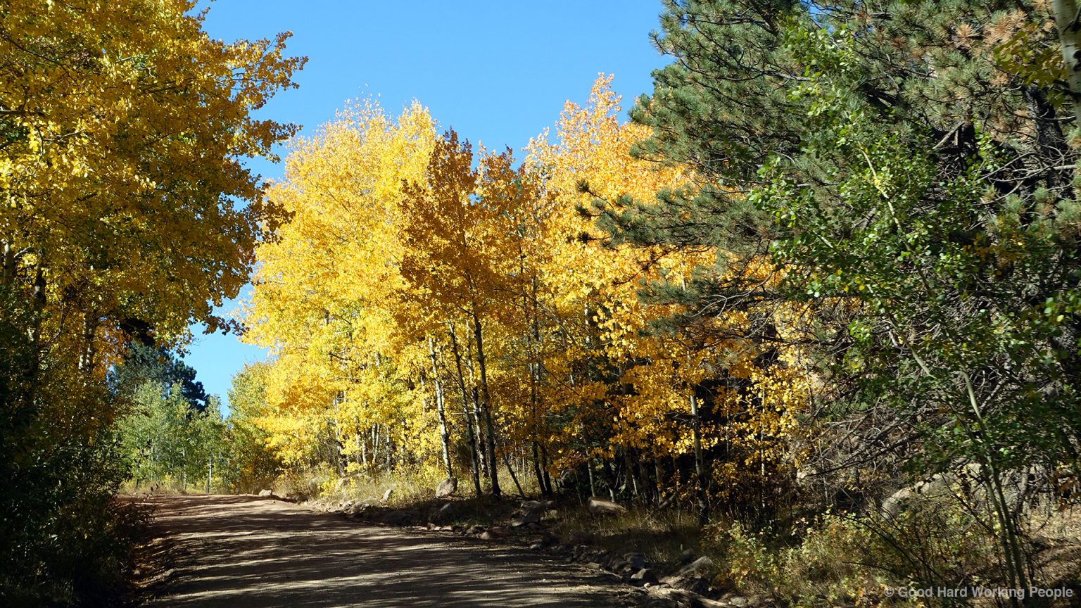 Cherokee Park Road (80C) - In A Colorado Minute (Week 335) - Luci Westphal