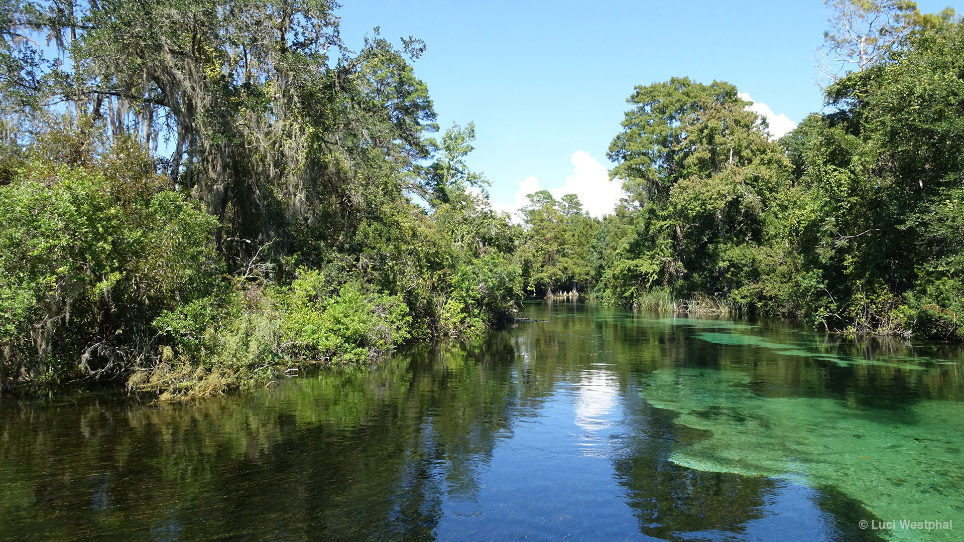 Photos from the Weeki Wachee River and Springs State Park (Florida ...