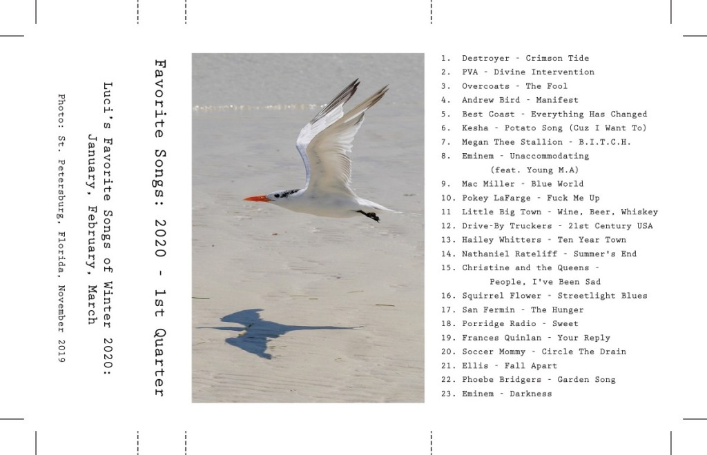 music playlist favorite songs 2020 first quarter, January, February, March, royal tern beach shadow