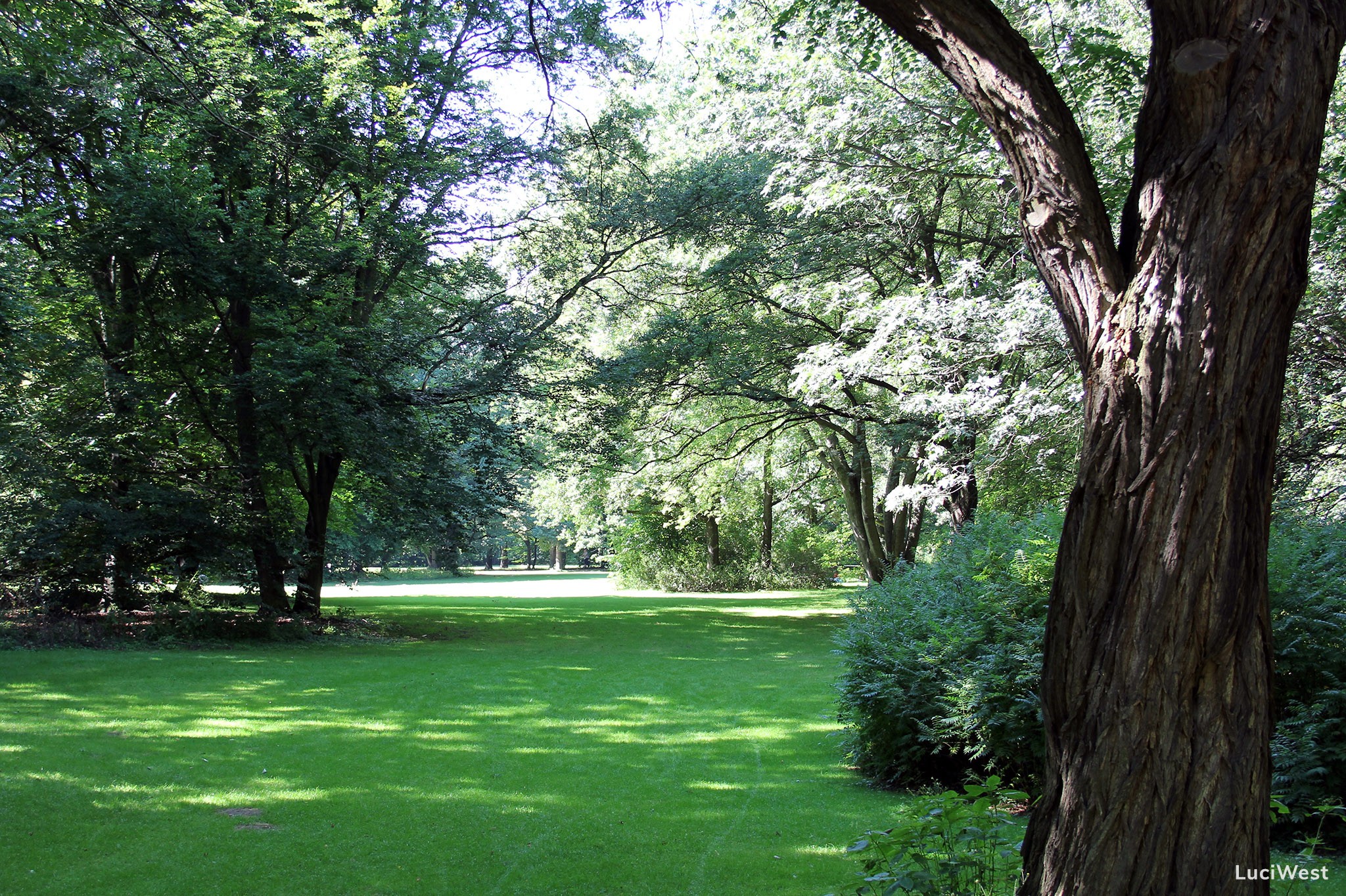 bootsverleih berlin tiergarten