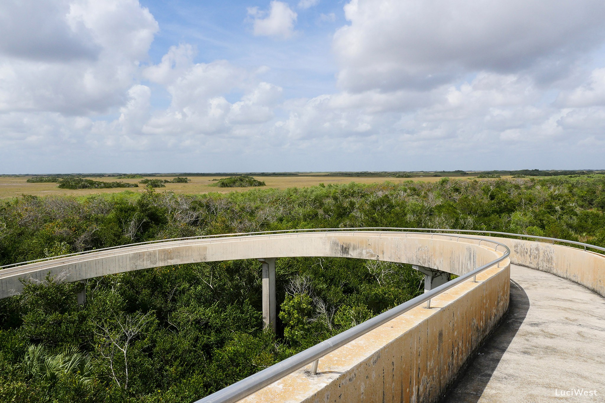 Everglades National Park Photos - Part I: Shark Valley - Luci Westphal