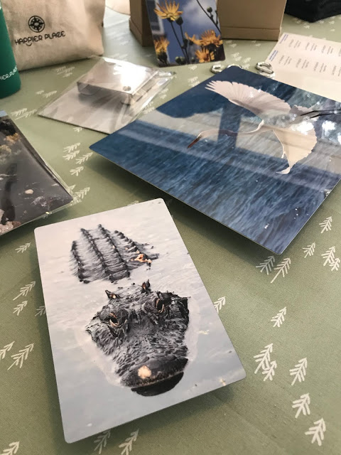 aligator metal print