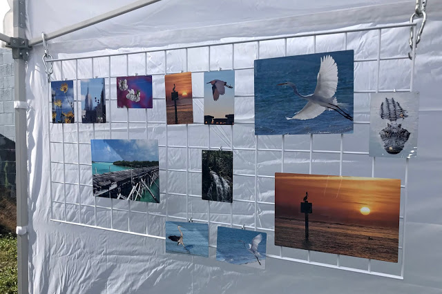 Nature photography metal prints by Luci Westphal