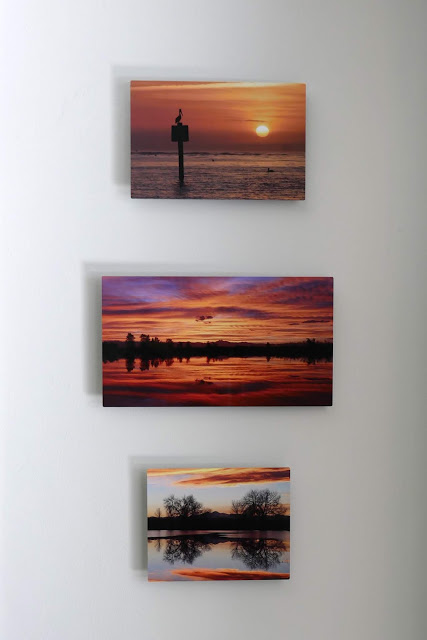 Honeymoon Island (Florida) St. Vrain State Park (Colorado) Ft. Collins (Colorado)