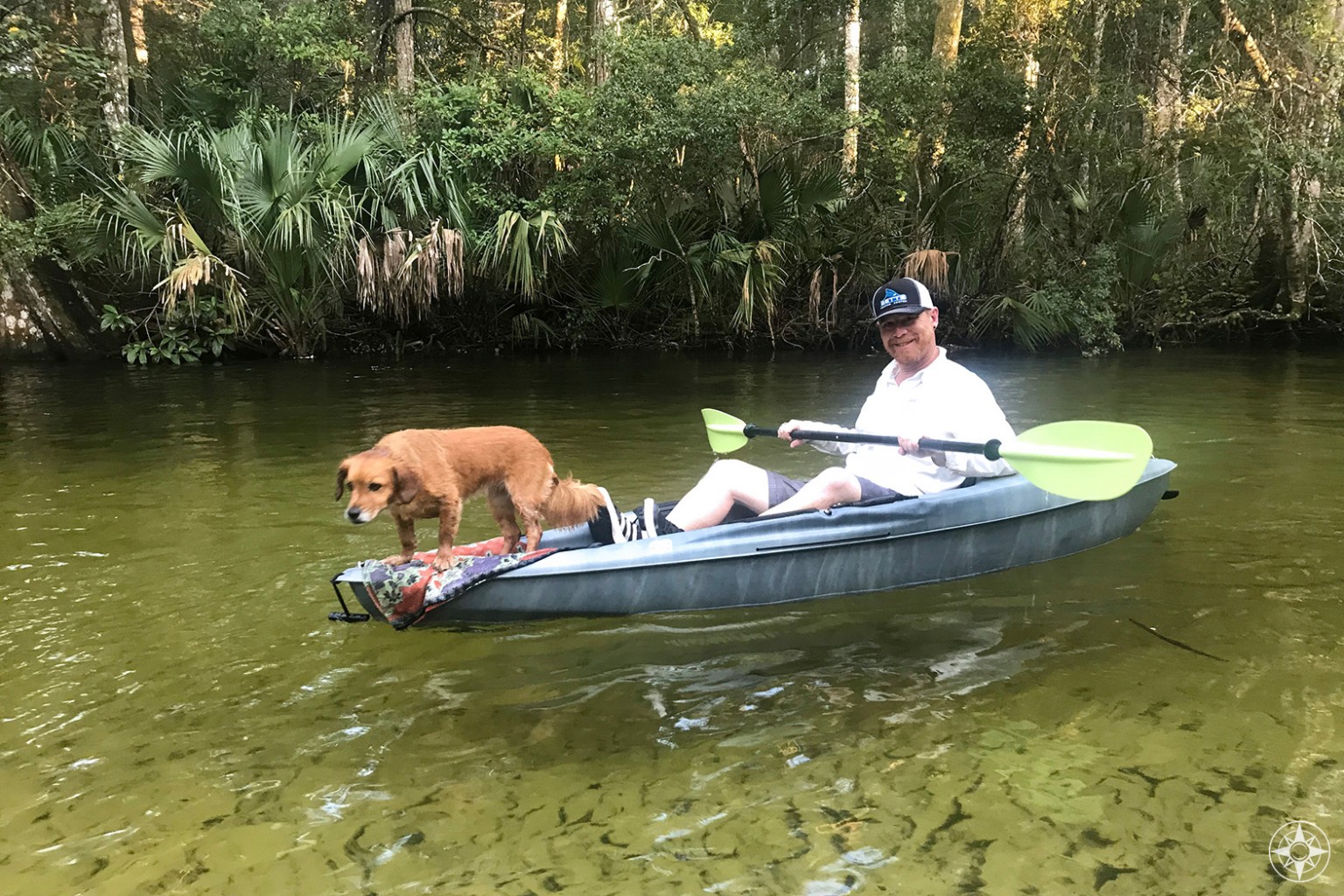 Photos from the Weeki Wachee River and Springs State Park (Florida)