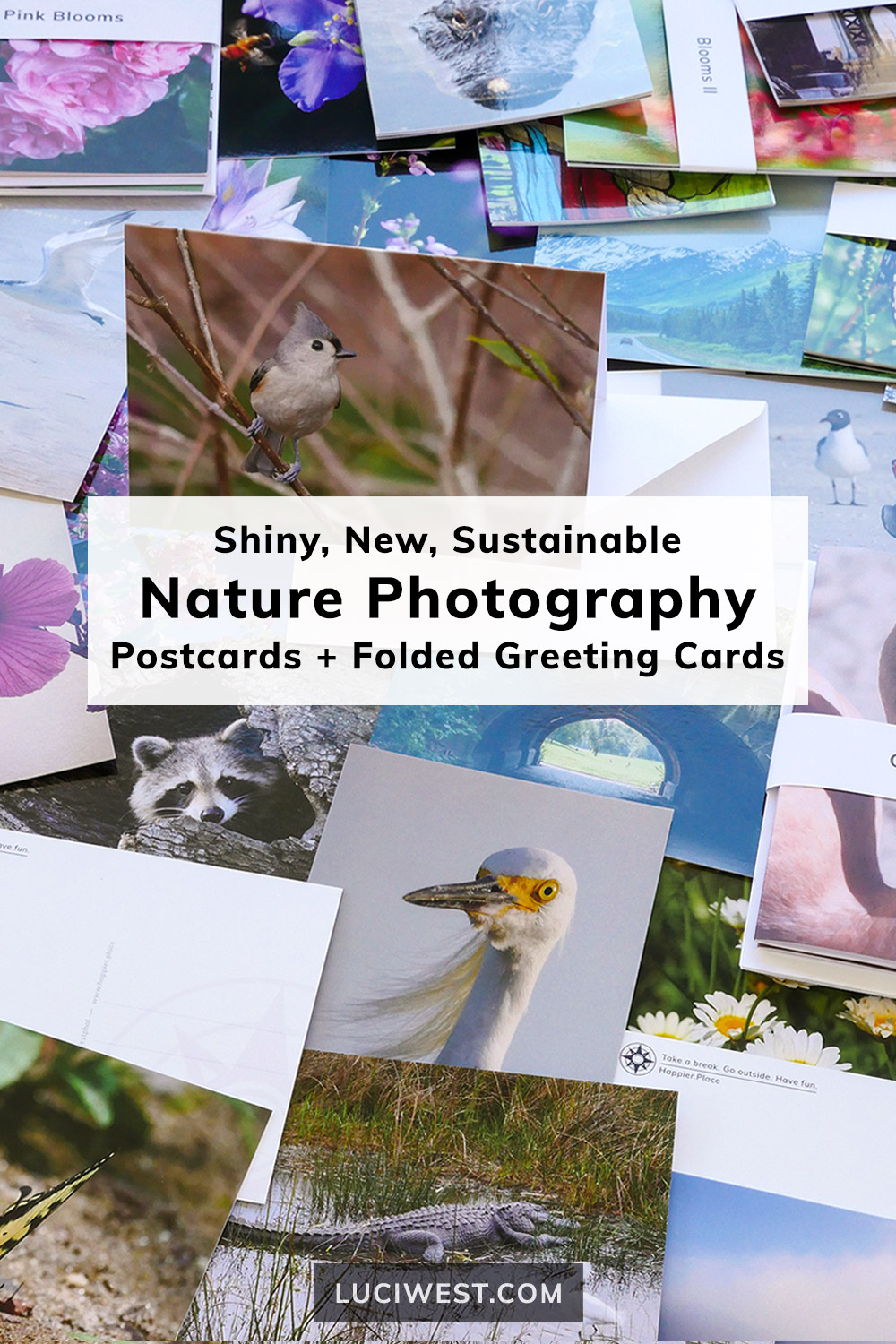 New nature photo postcards by Luci Westphal available via Happier Place