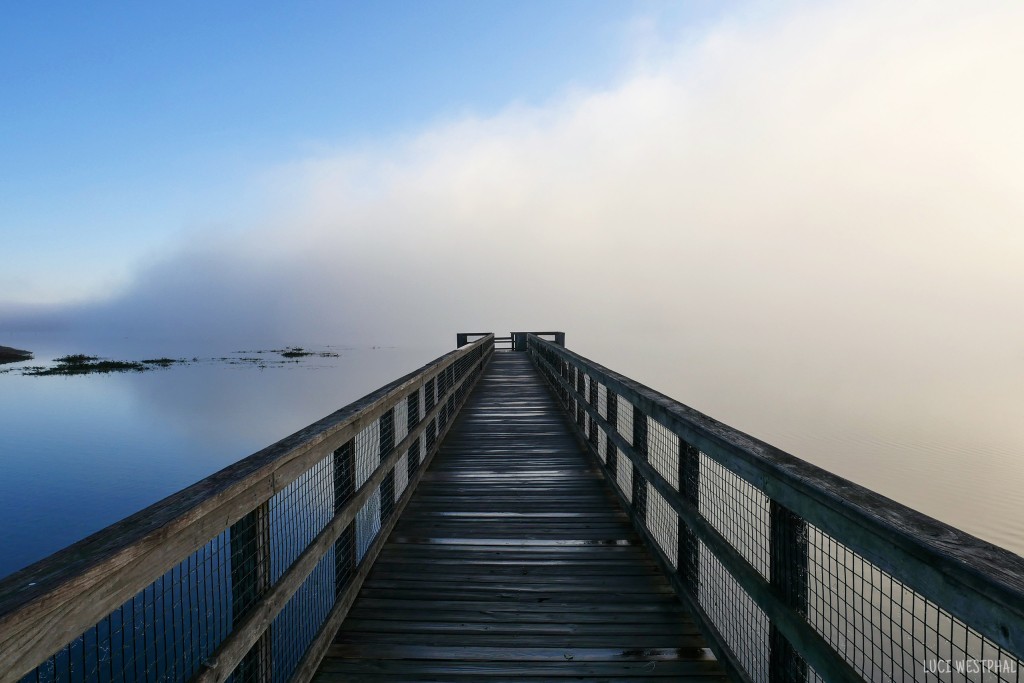 wooden boardwalk, pier, into the fog, lake, wetlands, Paynes Prairie, Florida, US 441
