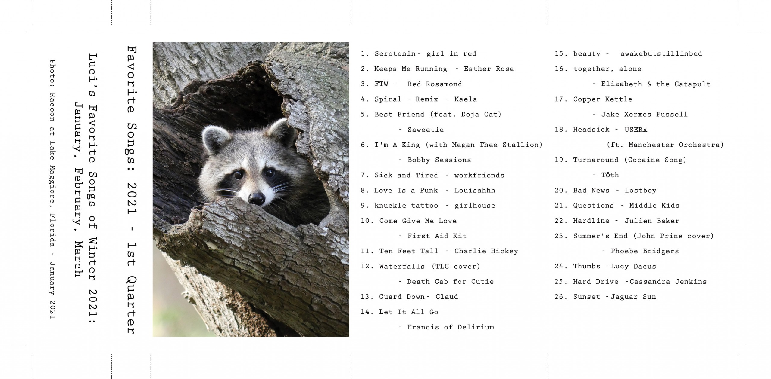 favorite songs 1st quarter of 2021, playlist, cassette cover, raccoon