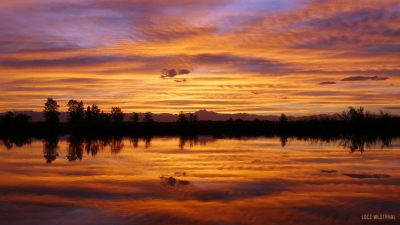 Rocky Mountain sunset sky pond reflection with tree silhouette, St. Vrain State Park, Colorado