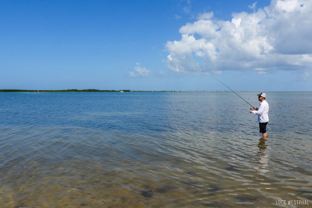 Trail and Beach Photos from Honeymoon Island State Park (Florida ...