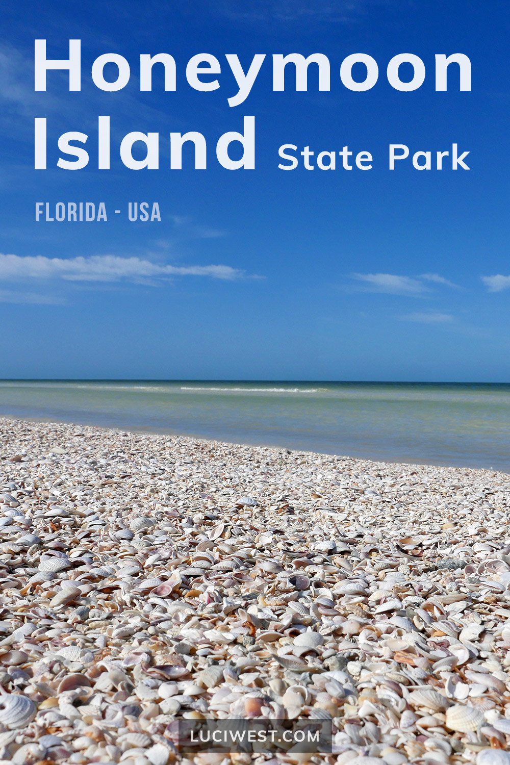 Seashell Beach - Honeymoon Island State Park on the Florida Gulf Coast near Tampa Bay. Photos from the beaches and trails - with birds and wildflowers galore. Photography by Luci Westphal.