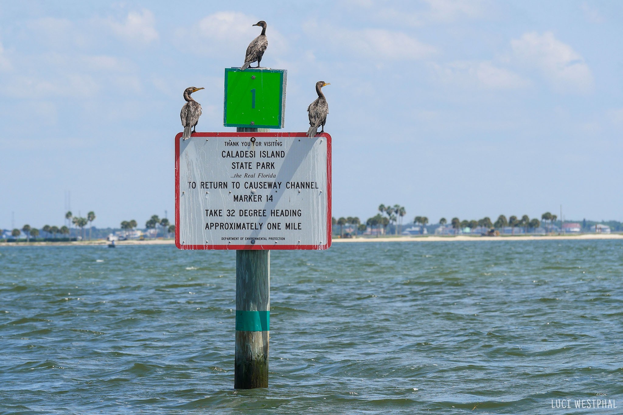 Cormorants on exit sign with boat directions, leaving Caladesi Island State Park, Florida