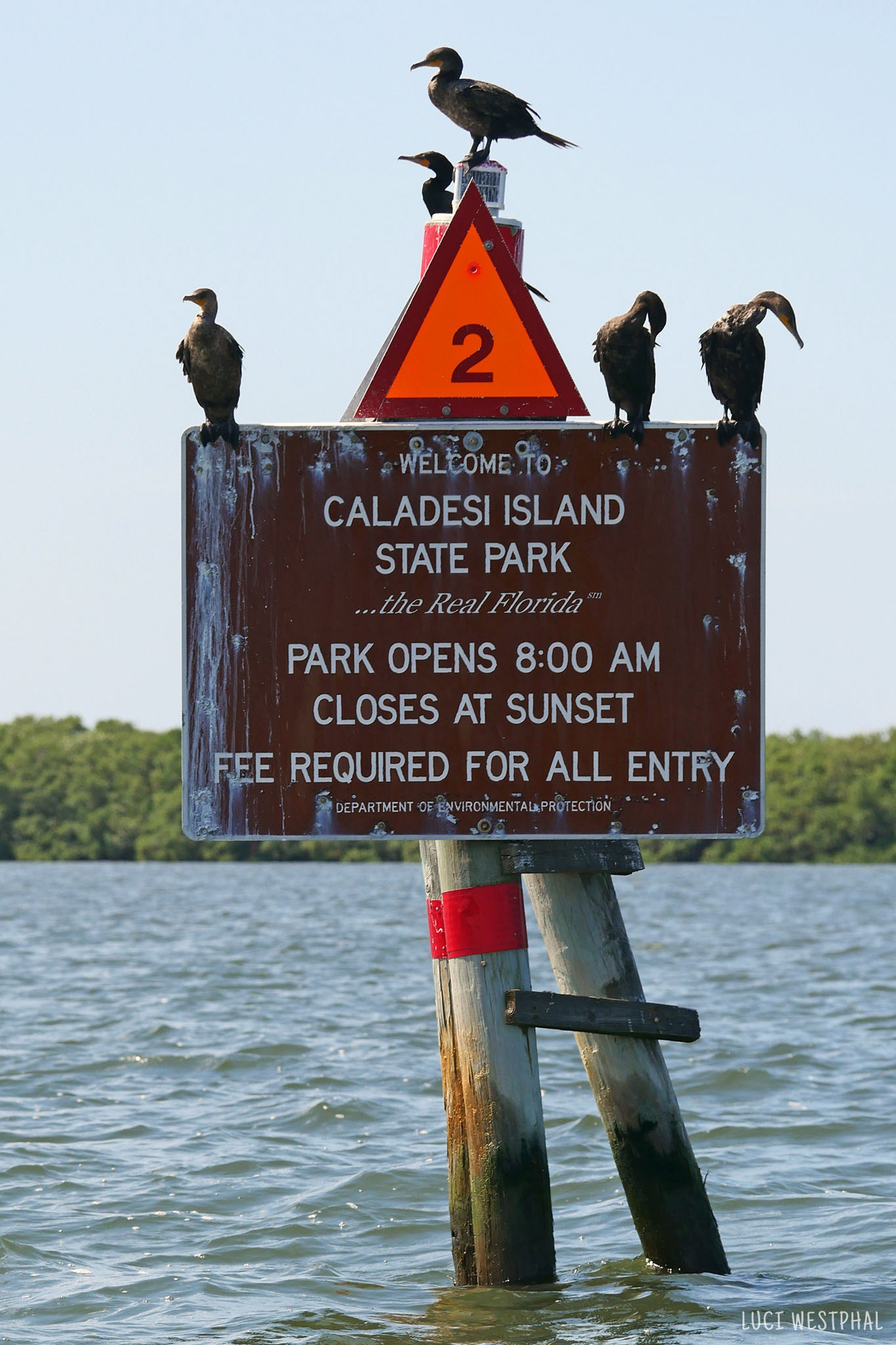 sign with cormorants, arriving by boat to Caladesi Island State Park, Florida