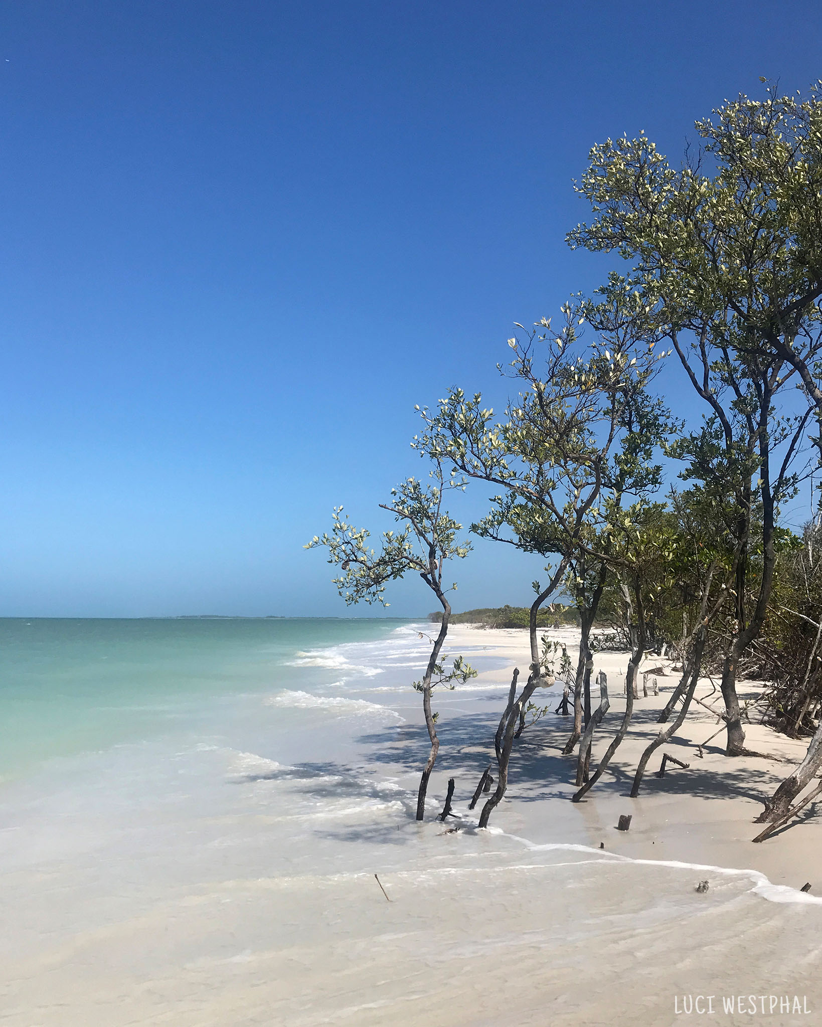 Caladesi Island State Park, Florida