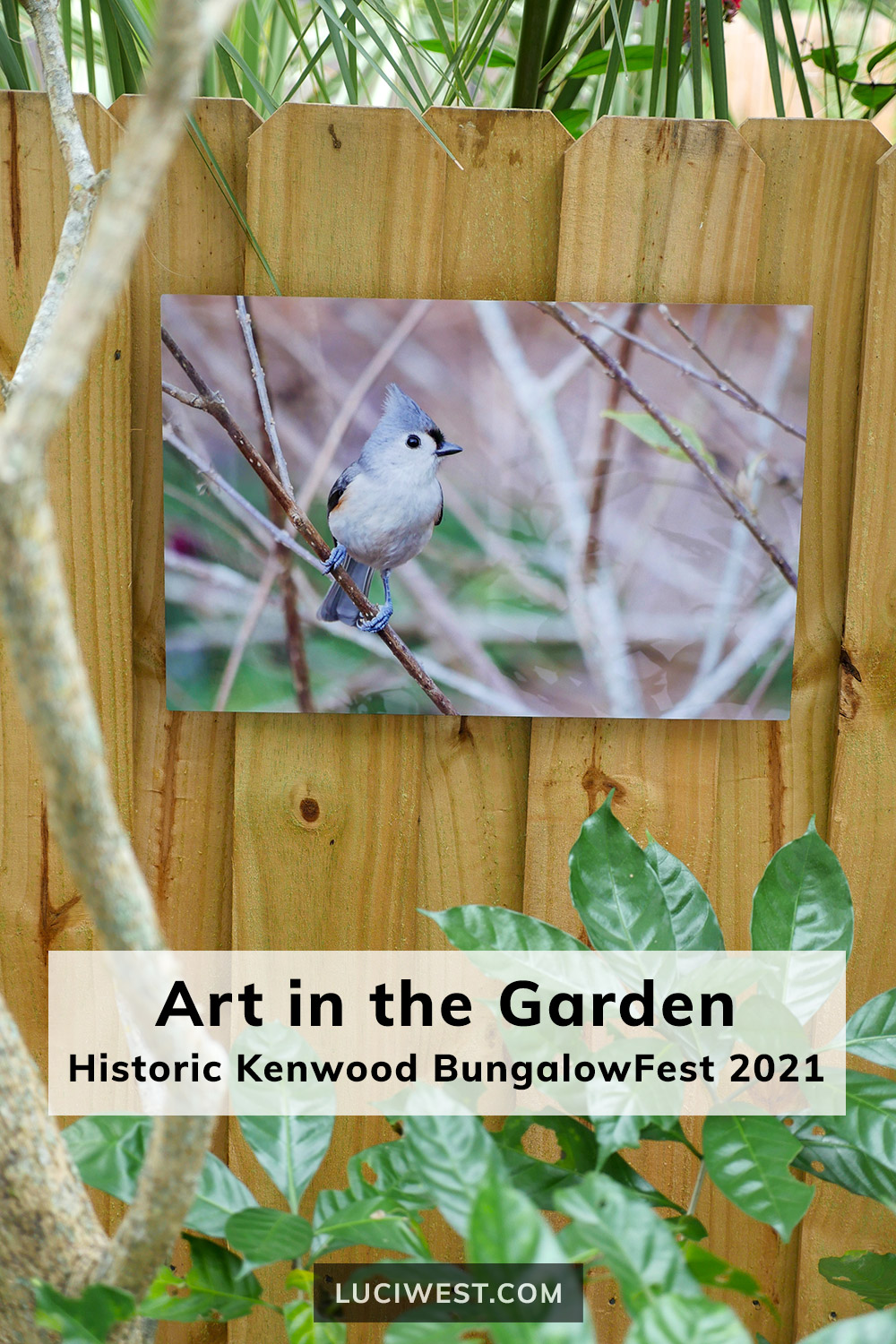 Titmouse metal print by Luci Westphal, Art in the Garden, BungalowFest Historic Kenwood 2021, Artist Enclave, St. Petersburg, Florida