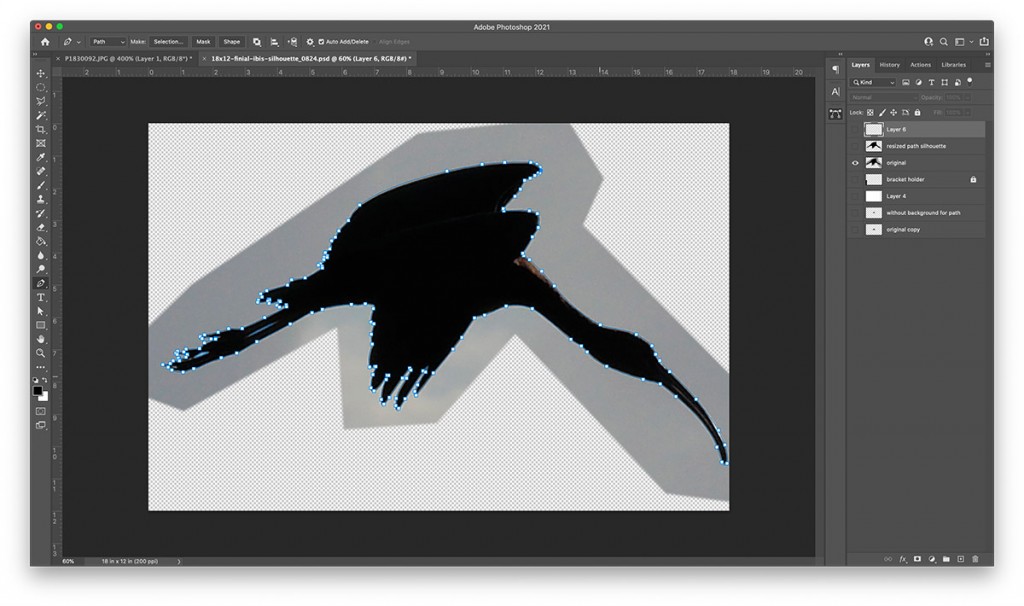 black ibis bird silhouette in Photoshop with paths in blue