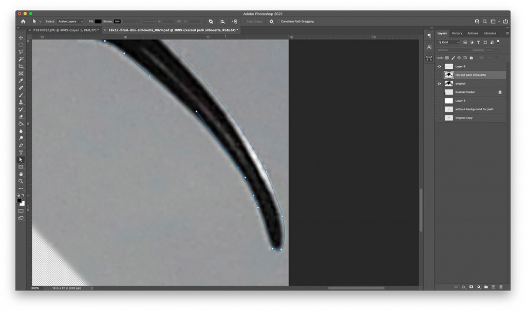black ibis bill in Photoshop with paths in blue