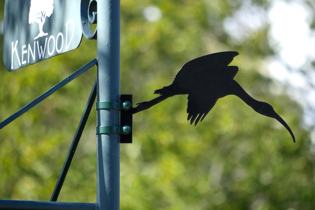 Metal ibis bird silhouette on street sign against trees, Historic Kenwood, St Petersburg, Florida, work by Luci Westphal