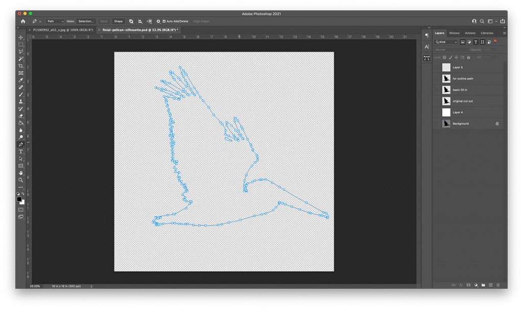 pelican silhouette drawn in blue paths in photoshop