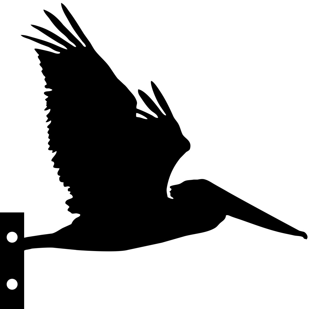 black pelican in flight silhouette