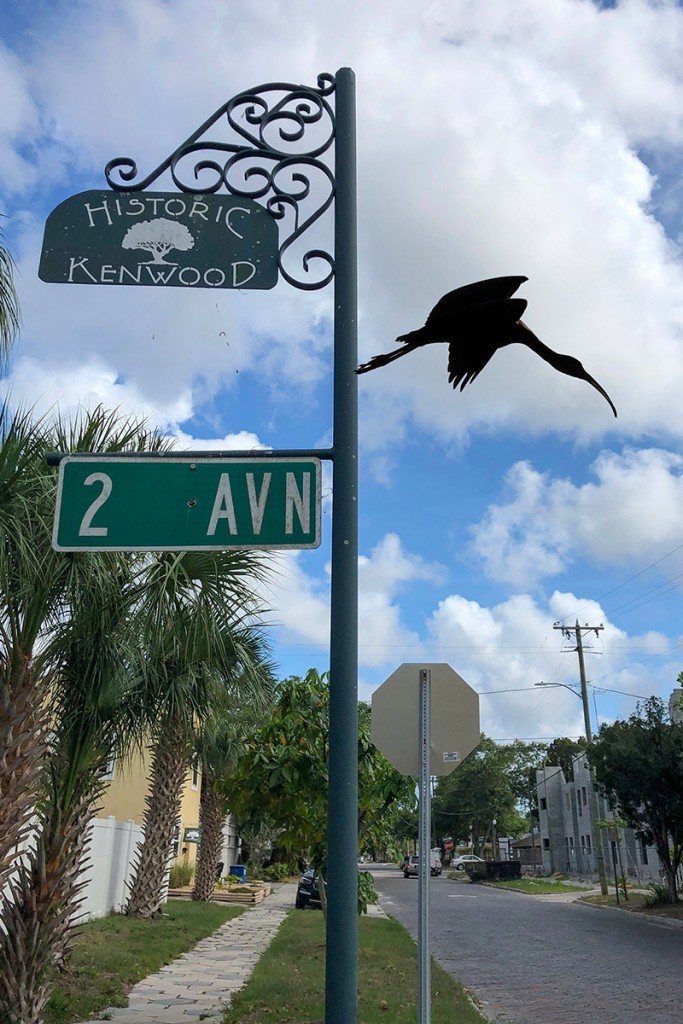 Historic Kenwood ibis silhouette mock-up