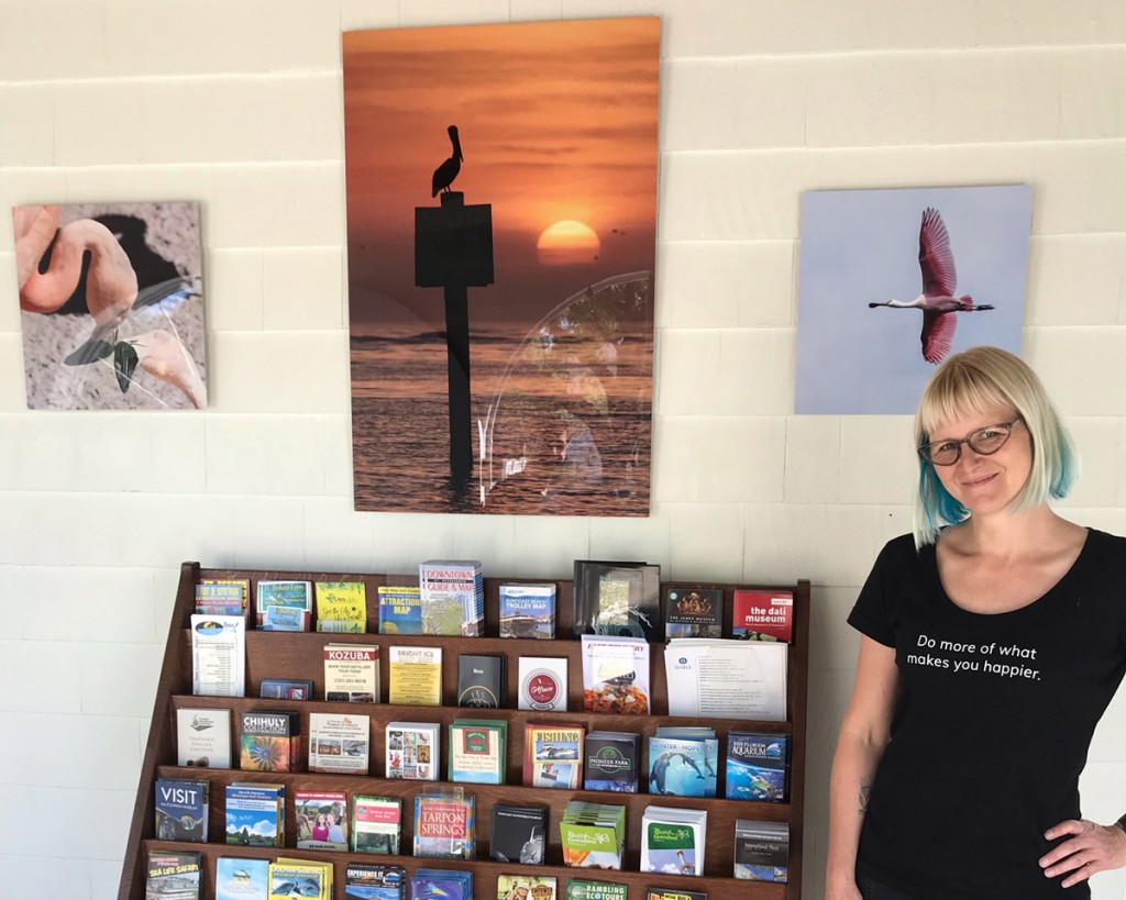 Luci Westphal, bird photos, metal prints, The Gables Bed and Breakfast, Historic Kenwood, St. Petersburg