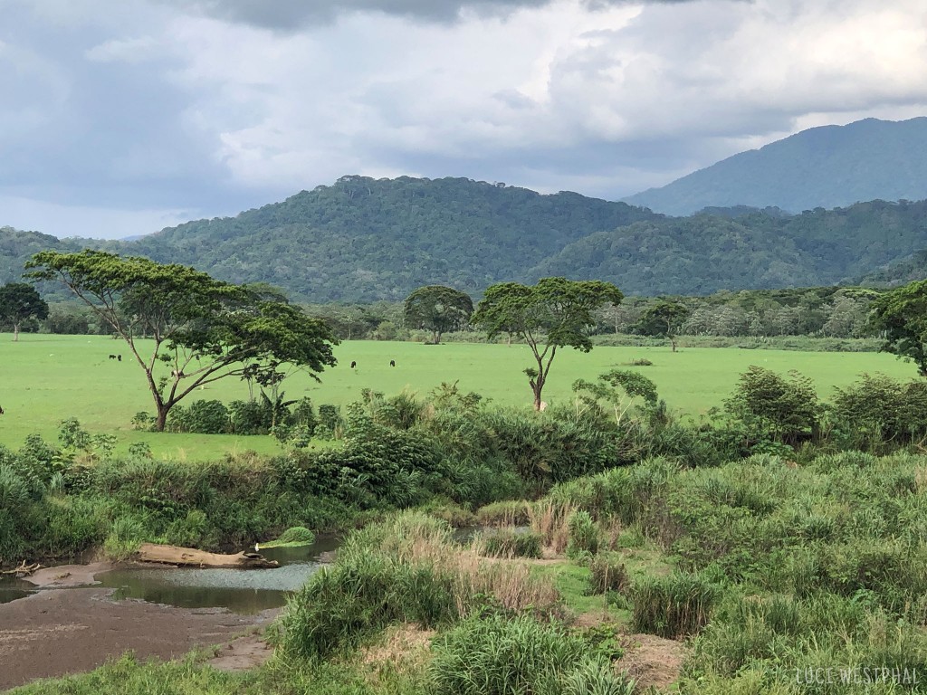 view from Crocodile Bridge, Costa Rica, Pacific Coast