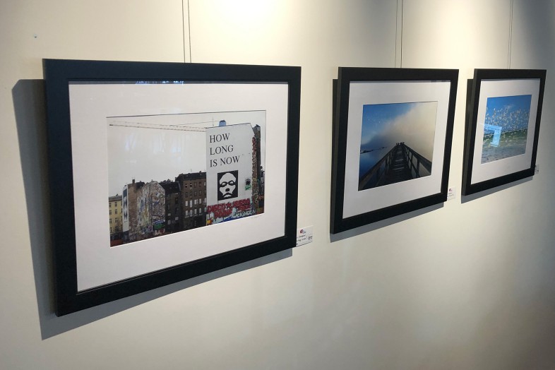 How soon is now, paynes prairie pier, flock of terns, framed photos by Luci Westphal at Creative Grape, St. Petersburg, Florida