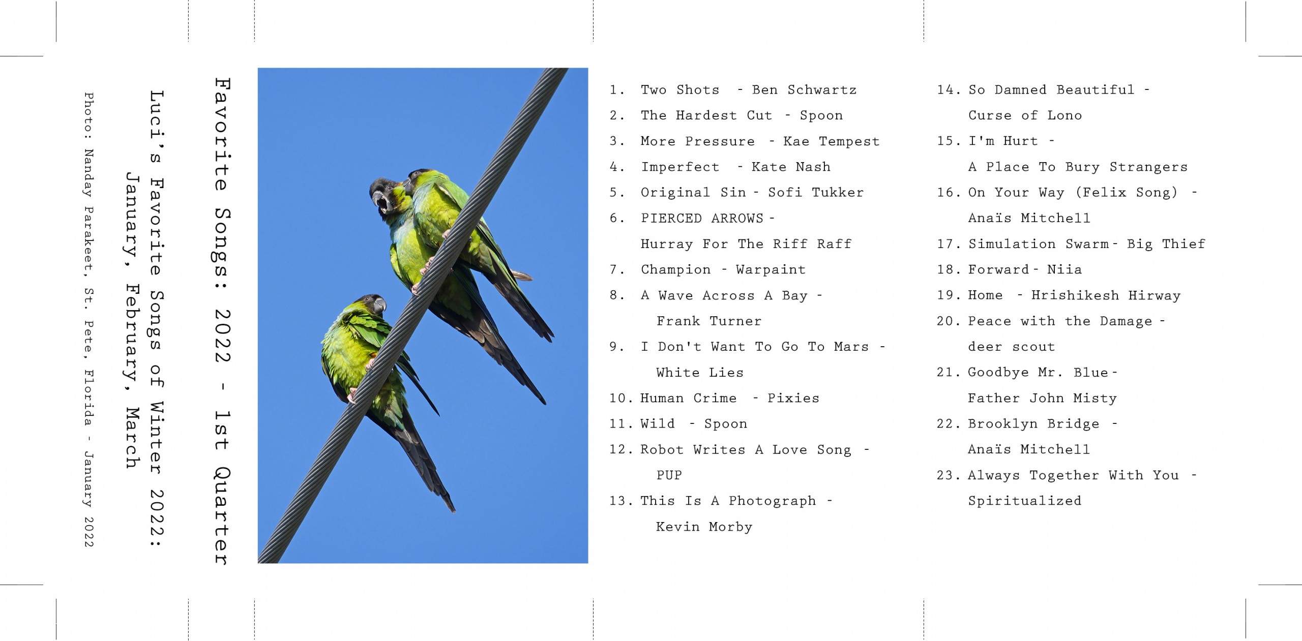Fold-out cassette insert for Favorite Songs of the 1st Quarter of 2022 Mix Tape. Nanday Parakeets in my neighborhood in St. Pete, Florida.