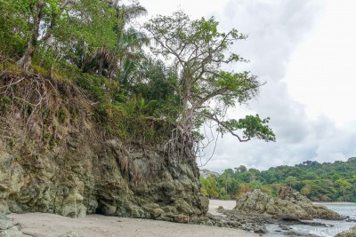 Where the forest meets the Pacific along big rock cliffs on the beach in Manuel Antonio National Park, Costa Rica