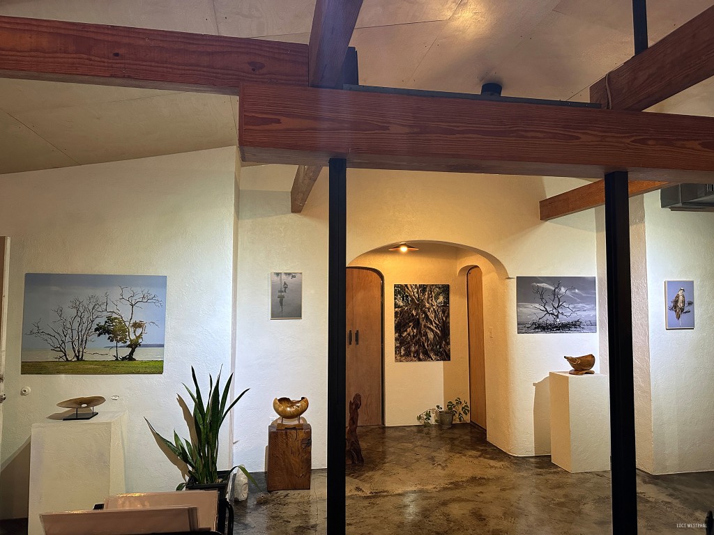 Luci Westphal photography at 4 Gats Gallery, Warehouse Arts District, St. Petersburg