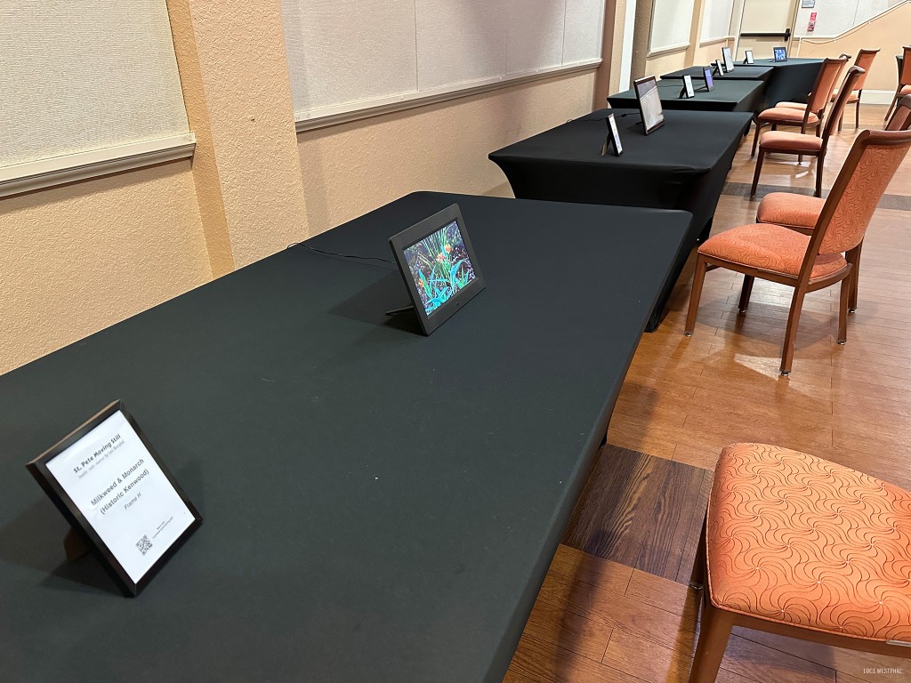 St. Pete Moving Still exhibit at Westminster Suncoast, St. Petersburg