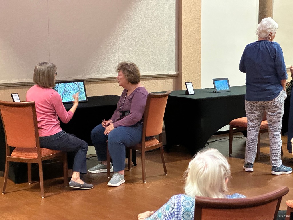 St. Pete Moving Still exhibit at Westminster Suncoast, St. Petersburg