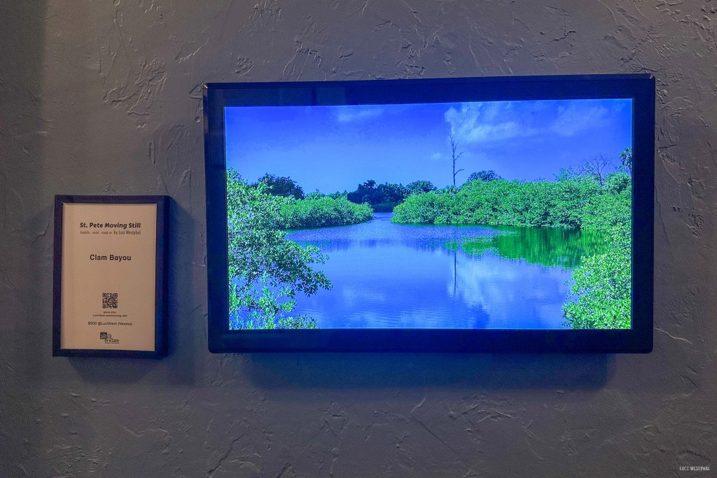 St. Pete Moving Still Clam Bayou by Luci Westphal