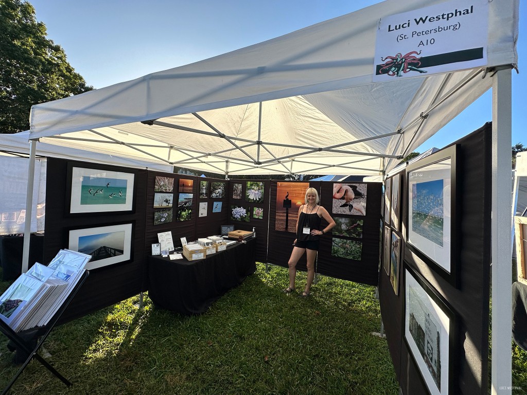 art fair display booth, photographer, black walls, white tent, nature photography, Florida, Luci Westphal, Lakeland Art Crawl