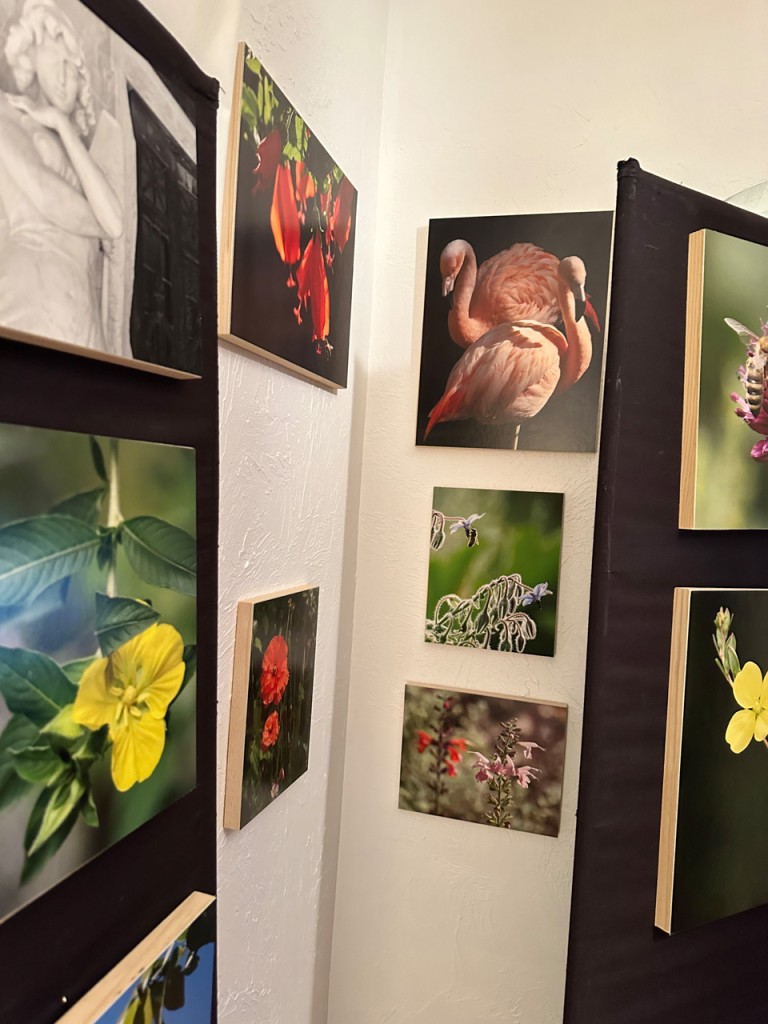 giclee fine art nature prints mounted on wood, Luci Westphal