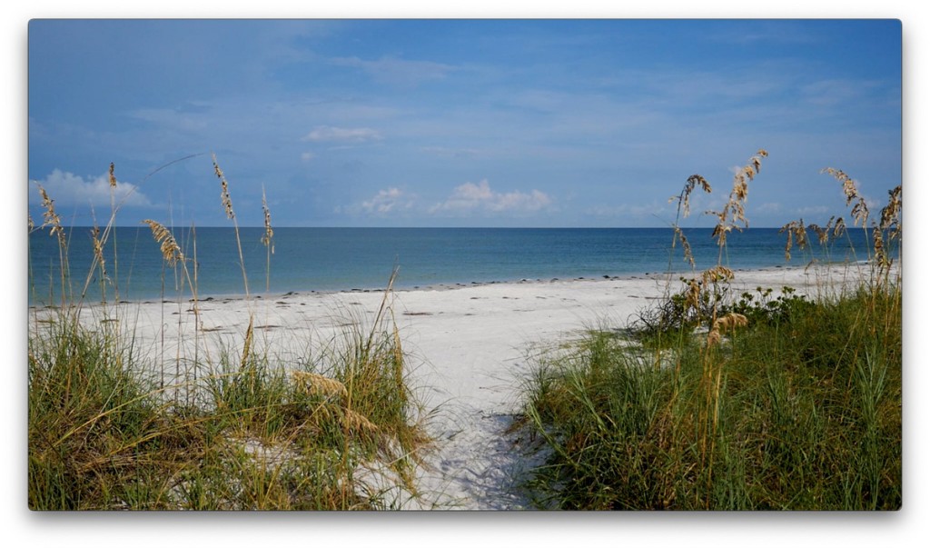 nature, St. Pete, Florida, Moving Still