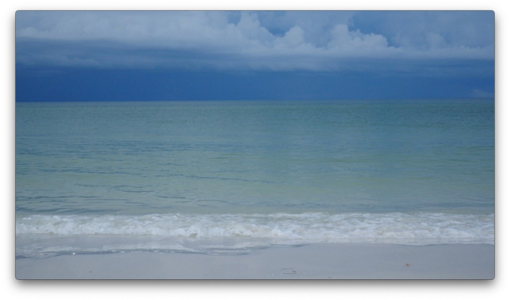 nature, St. Pete, Florida, Moving Still