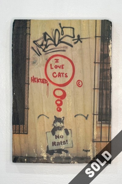 I love cats, no rats, cat with sign, urban art, san juan, puerto rico, paged, hektad, photo wood transfer