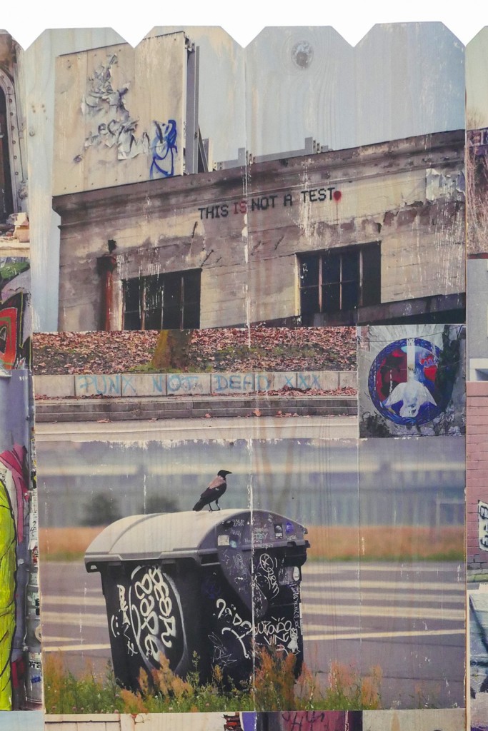 this is not a test graffiti, Brooklyn, crow on graffiti garbage container, Tempelhof Airport, photos transferred to wood fence