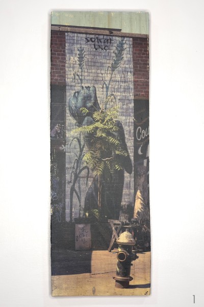 plant, street art, woman, Sokar Uno, image transfer to wood