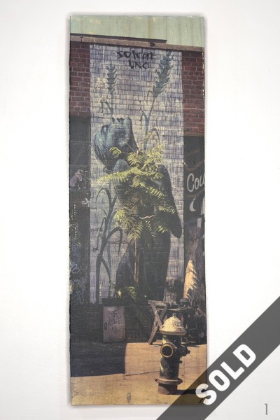 SOLD plant, street art, woman, Sokar Uno, image transfer to wood