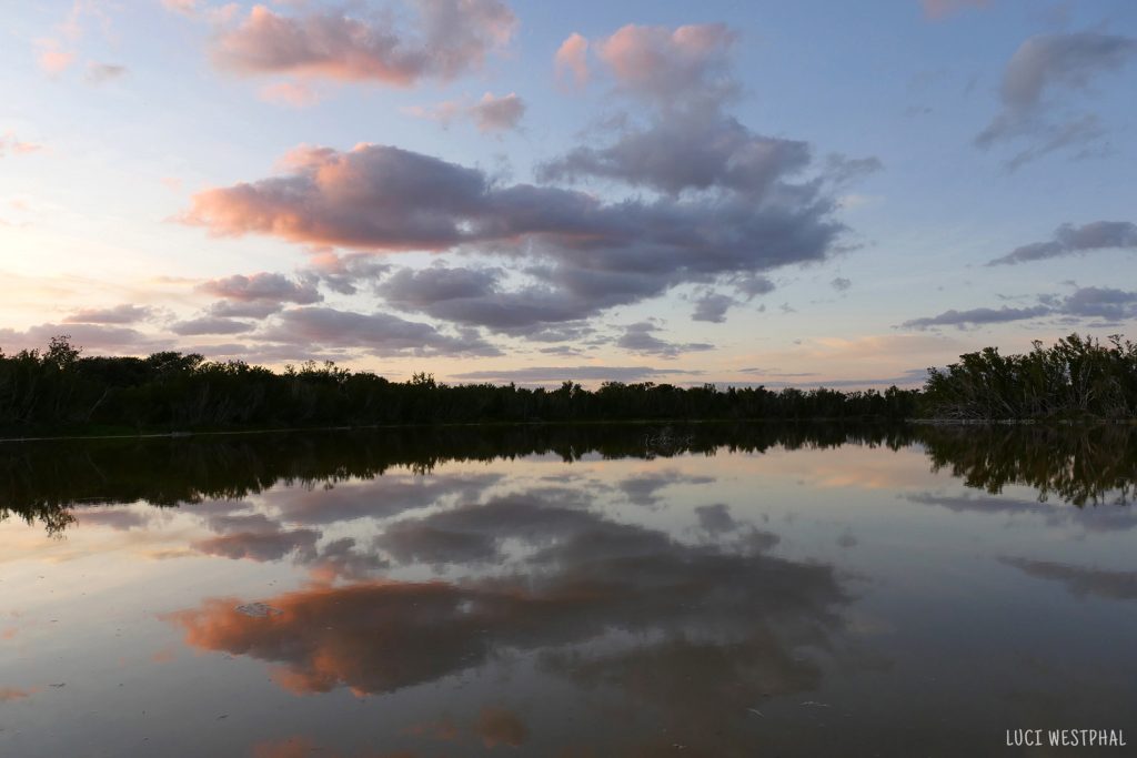 Evening sunset cloud reflection over pond in the Everglades