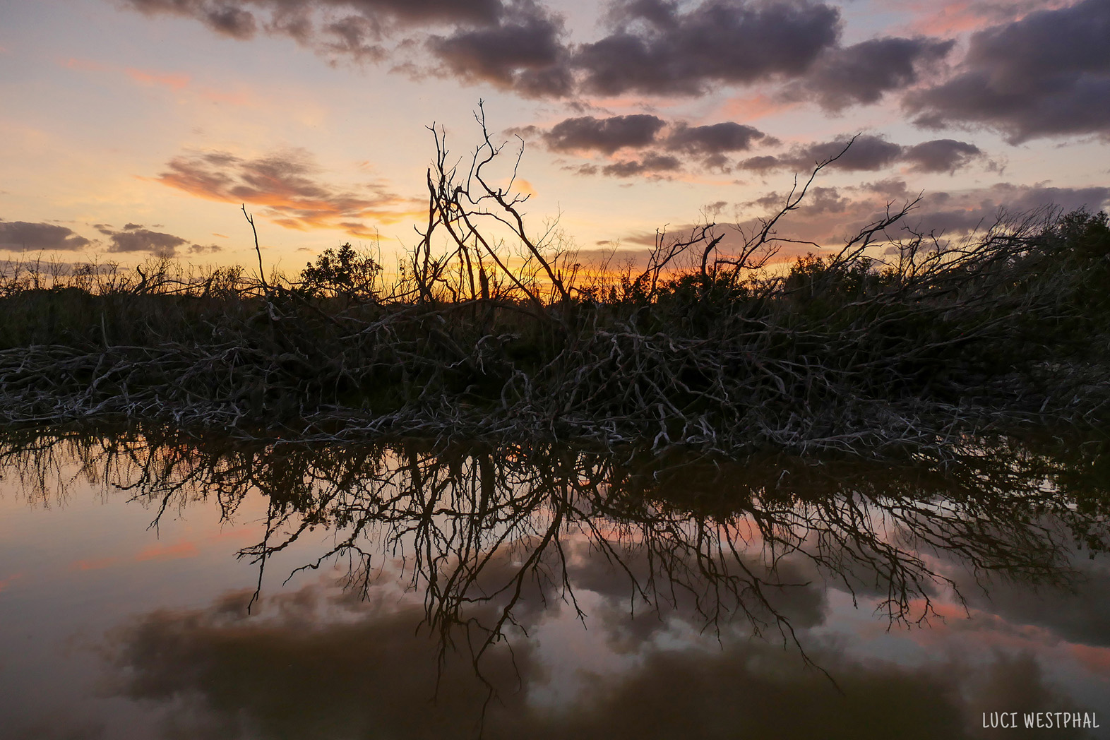 mangrove sunset water reflection, Everglades National Park