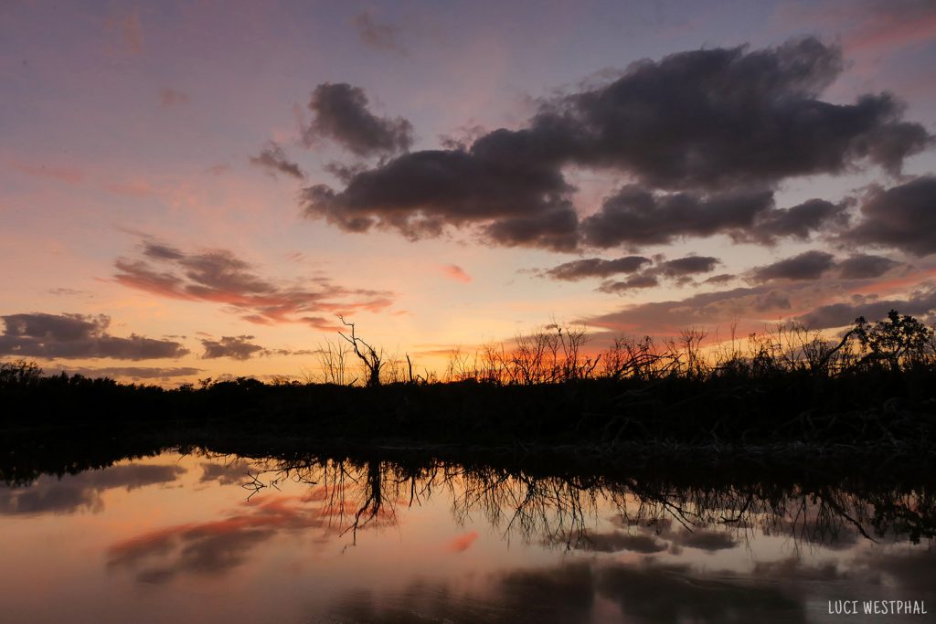 evening sky reflection over pond in Flamingo, Everglades