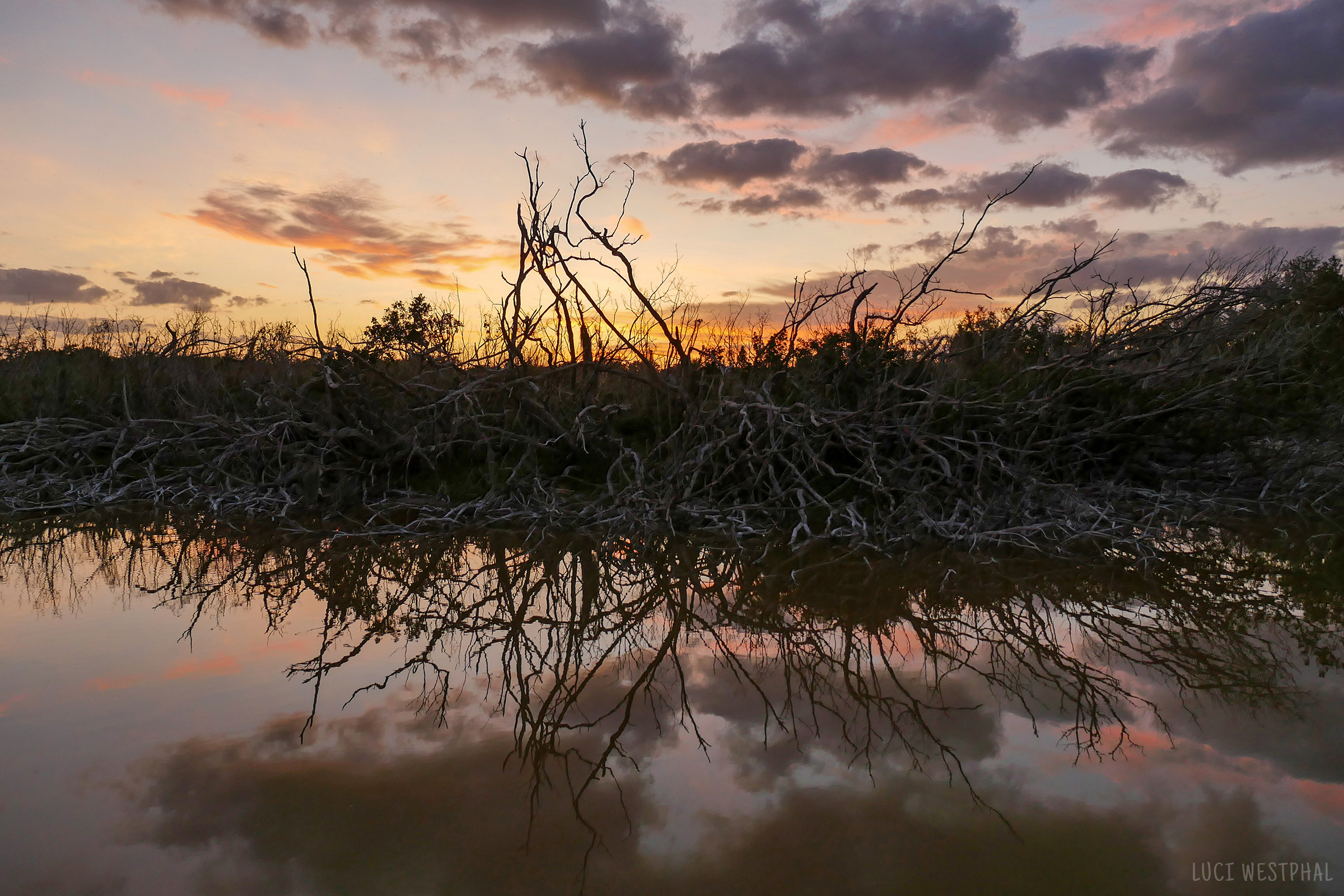 Everglades sunset sky reflection, trees, clouds, dark