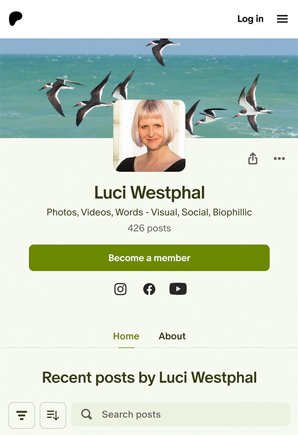 Patreon, Luci Westphal, login page